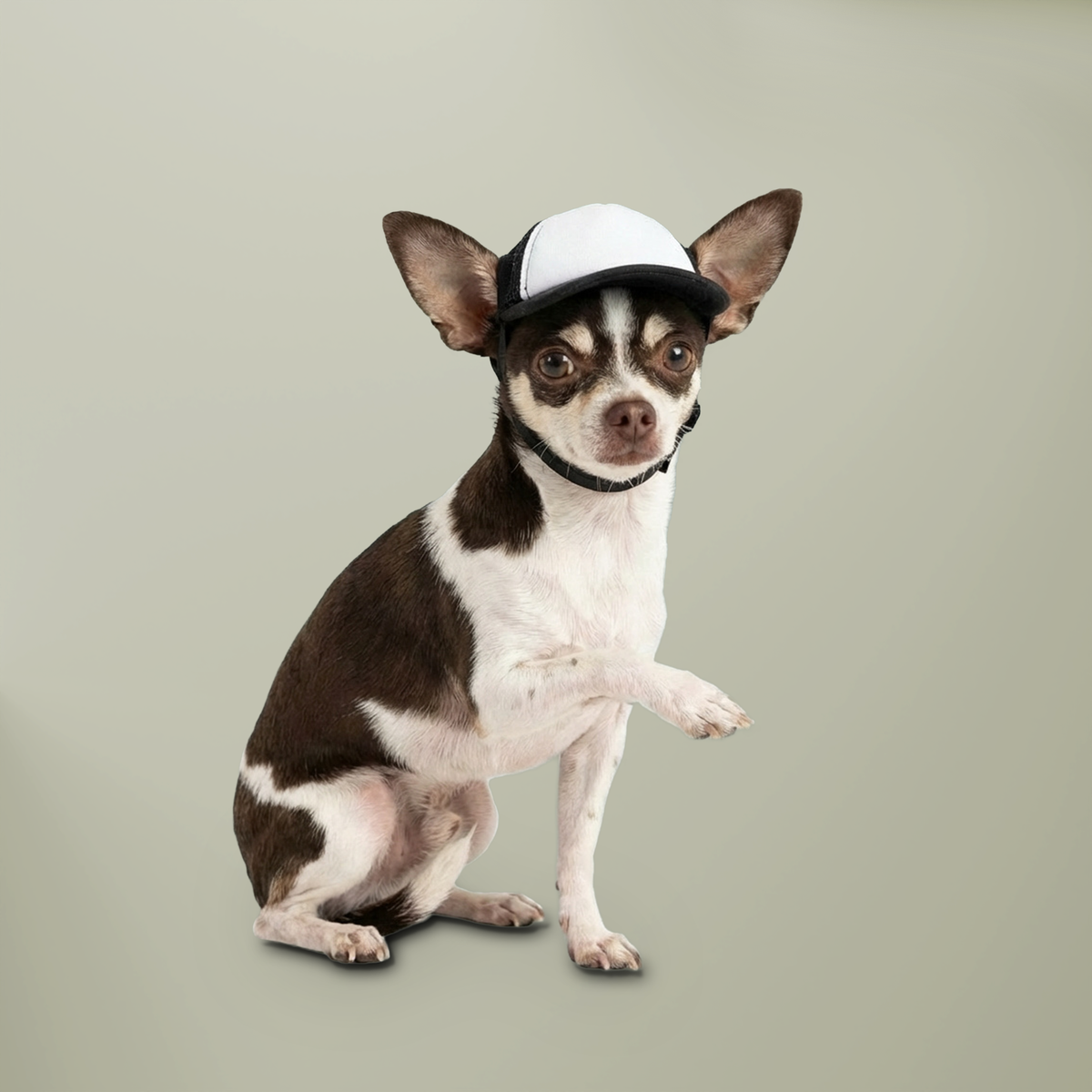 Trucker Hat — "Free French Kisses" Dog Foam Trucker Hat