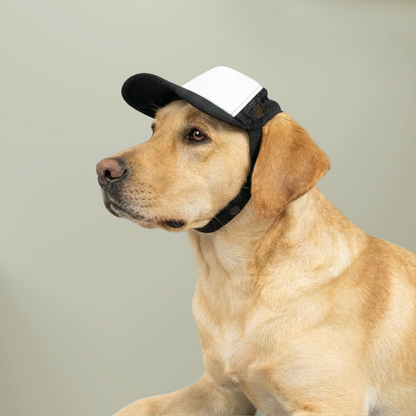 Trucker Hat — "Free French Kisses" Dog Foam Trucker Hat